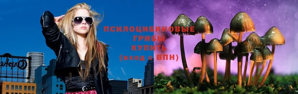 прущие крисы Тайга