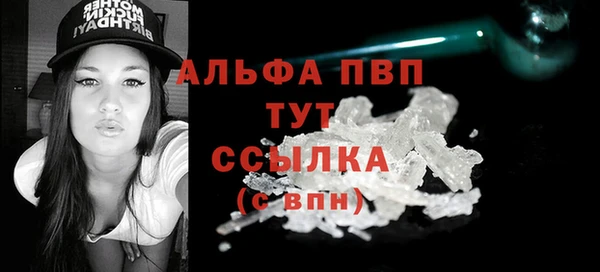 гашик Надым