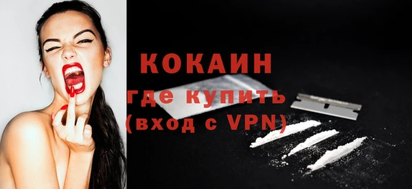гашик Надым