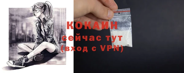гашик Надым
