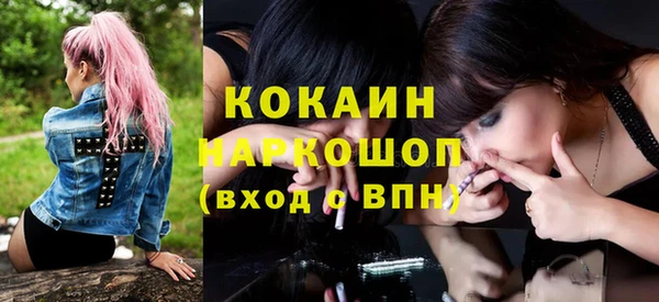 гашик Надым