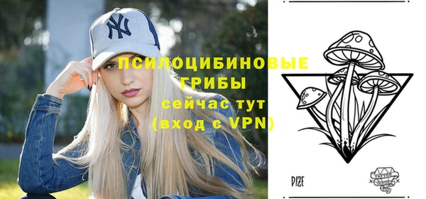 гашик Надым