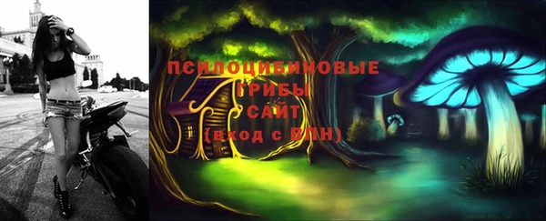 Альфа ПВП Сясьстрой