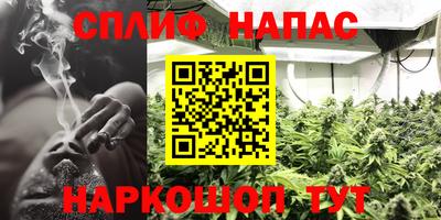 прущие крисы Дубна