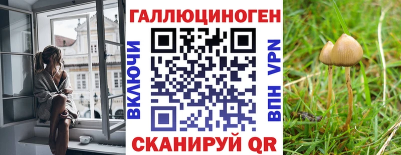 mega как зайти  Реж  Галлюциногенные грибы Cubensis 