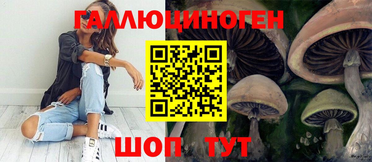 где можно купить   Галлюциногенные грибы ЛСД  Вход с VPN  Реж 