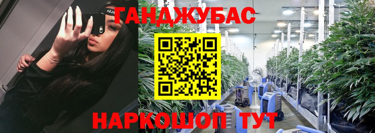 Конопля гибрид  Вход с VPN  Конопля тримм  Марихуана марихуана  Бошки марихуана White Widow  Реж 